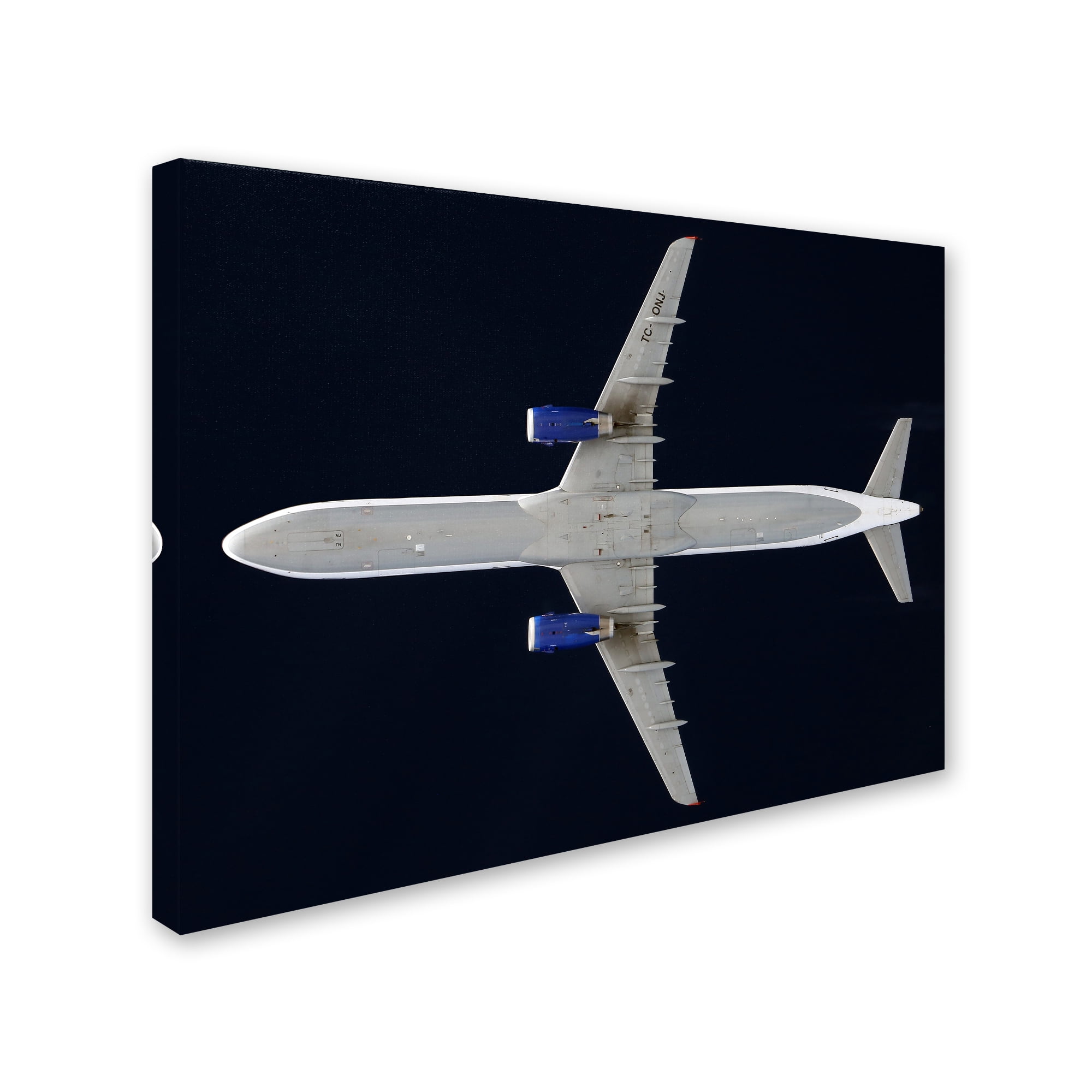 Trademark Fine Art 'Onurair' Canvas Art by Niels Herbrich