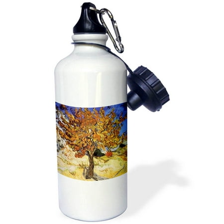 

Van Gogh Mulberry Tree 21 oz Sports Water Bottle wb-48249-1