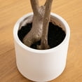 thumbnail image 6 of Nearly Natural 7ft. Artificial Minimalist Olive Tree in White Decorative Planter, 6 of 10