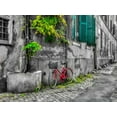 thumbnail image 2 of Frank, Assaf 14x12 Gold Ornate Wood Framed with Double Matting Museum Art Print Titled - Bicycle outside old building, Rome, Italy, 2 of 4