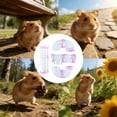 thumbnail image 5 of 8 PCS Hamster Tunnel Tube Set, Transpet Cage Accessories - Curvy DIY Toy Tubes for Dwarf Hamster, Mice, Rat, Small Animal Adventure Pipe & Toys, 5 of 5