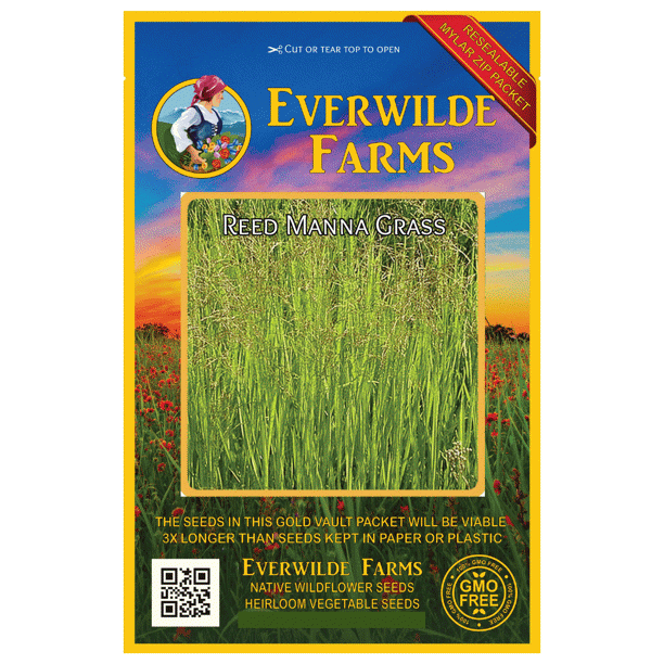Everwilde Farms 1000 Reed Manna Grass Native Grass Seeds Gold Vault Jumbo Bulk Seed Packet