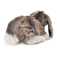 thumbnail image 2 of Títere de Mano Conejo Baby Lop de Peluche Folkmanis 33x23x13 cm, 2 of 4