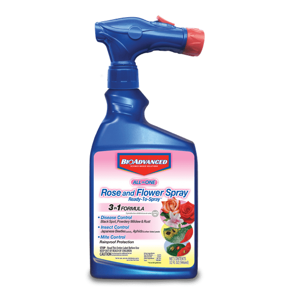 Bayer All One Rose Care