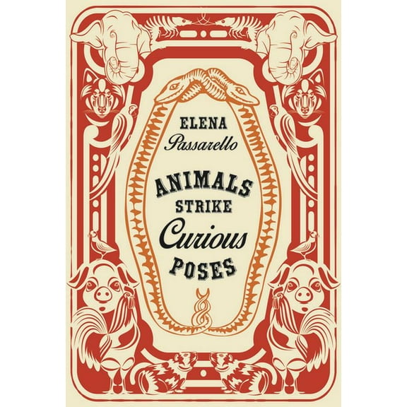 Animals Strike Curious Poses (Paperback)