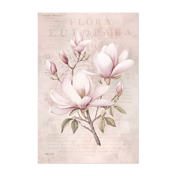 Magnolia Spring Romance Pastel Pink - Illustration Floral Botanical Vintage Flowers Pastel Nature Art Deco Unframed Wall Art Print 5 x 7 inches