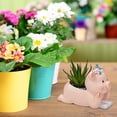 thumbnail image 4 of Desktop Decor,Creative Fleshy Flower Pot Set Combination Personality Cute Little Pig Cartoon Meat Size Caliber Flower Pot, 4 of 7