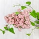thumbnail image 3 of ¡Ofertas Limitadas!, Flores artificiales de ganchillo, flores artificiales de aliento de bebé, flores falsas, ramo de gypsophila de punto para boda, fiesta de Navidad, decoración del hogar Akmoler, 3 of 8