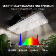 Spider Farmer SF2000 200W Full-Spectrum Dimmable LED Grow Light For 4×2’/5×3′ Hydroponics, Smart GGS Compatible