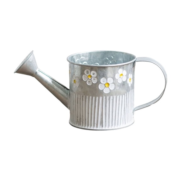 Tepsmf Iron Watering Can Planter, Farmhouse Decorative Flower Pot for Indoor Outdoor Garden Kitchen Patio, Rustic Vintage Style Metal Container
