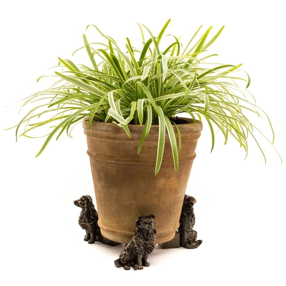 Potty Feet Border Collie Themed Plant Pot Feet Antique Bronze Color Set of 3