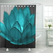 SUTTOM Color Teal Lotus Pop Flower Black White Hope Faith Shower Curtain 66x72 inch