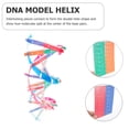 thumbnail image 3 of MasteelfCA Double Helix Model DNA Model Science Educational Instrument Assembly Toy, 3 of 7