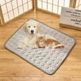 Cooling Mat Pad for Dogs Cats Ice Silk Mat Cooling Blanket Cushion for