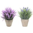 thumbnail image 1 of Planta en maceta falsa oso de fresa verde 8,46 pulgadas con maceta de cerámica, 1 of 1