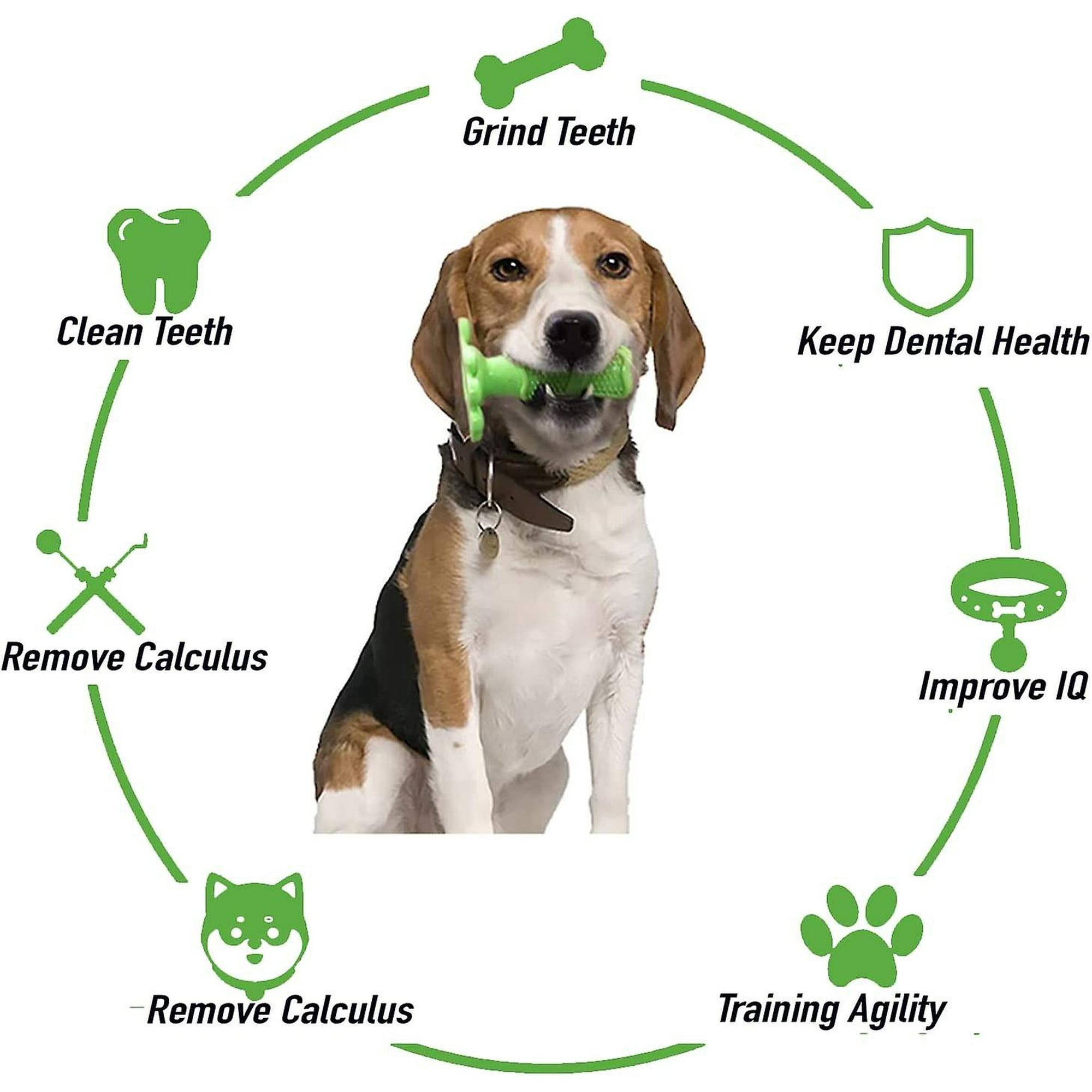 Dog chew stick toothbrush sales