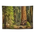 thumbnail image 5 of ONETECH  Autumn Tree California Tapestry, Redwood Trees Sequoia National Park Large Wall Hanging Tablecloths Psychedelic Tapestry Bedroom Living Room Dorm(Redwood Green Wood), 5 of 7