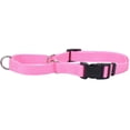 thumbnail image 1 of Collar para Perro Martingale Ajustable Antideslizante Coastl en Rosa 1,6 cm x 36-46 cm, 1 of 1