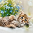 thumbnail image 4 of Calendar 2025-2026 Cute Kittens Wall Planner, Adorable Cat Organizer, 16-Month Hanging Schedule Sep 2025–Dec 2026, 12x12 in, 4 of 15
