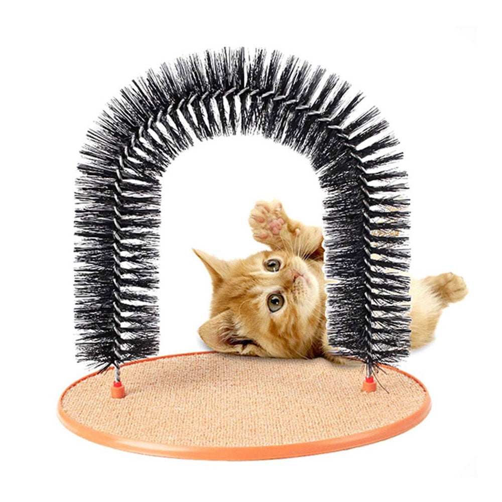 smarty cat loco laser