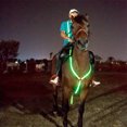 thumbnail image 3 of Suministros ecuestres LED, arnés de caballo, correa para el pecho de caballo, hermoso y llamativo arnés de pecho de caballo luminoso, 3 of 9