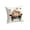 B004- Beige (Style D), variant on Halloween Living Room Decor, 18X18 Inch Spooky Cute Vintage Halloween Pillow Cover, for Indoor Family Gathering Bedroom Accent Seasonal Halloween Room Decor, Off-White Base