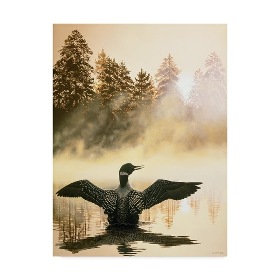 Trademark Fine Art 'Misty Dawn Loon' Canvas Art by Ron Parker