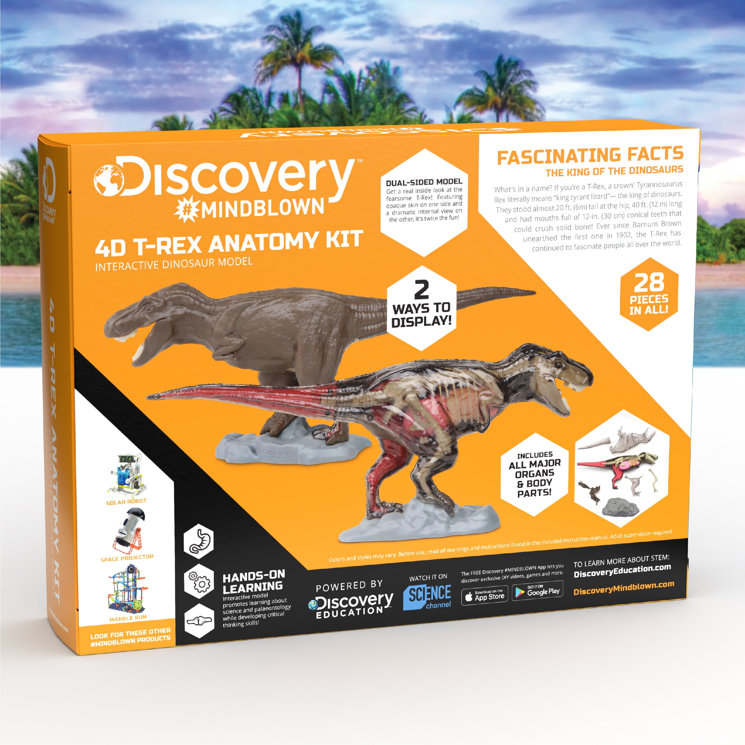 Jurassic world anatomy kit online