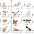 thumbnail image 5 of Animal Toy Figures Cat, Educational Cat Figures Toy Set, Realistic Cat Figures, 5 of 5