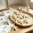 thumbnail image 5 of 10 Piece Mini Resin Starfish Set, DIY Starfish Decor for Beach Crafts Aquarium Layout Indoor Outdoor, Gift& Coastal Decor, 5 of 6