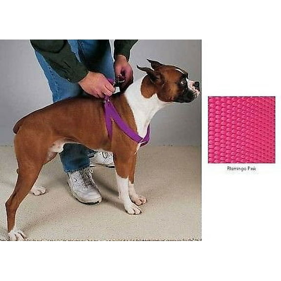 Coordinating Nylon Dog Collars Leads & Harnesses for Dogs Choose Sizes & Colors(9 to 15 x 3/8 Inch Harness - Flamingo Pink)