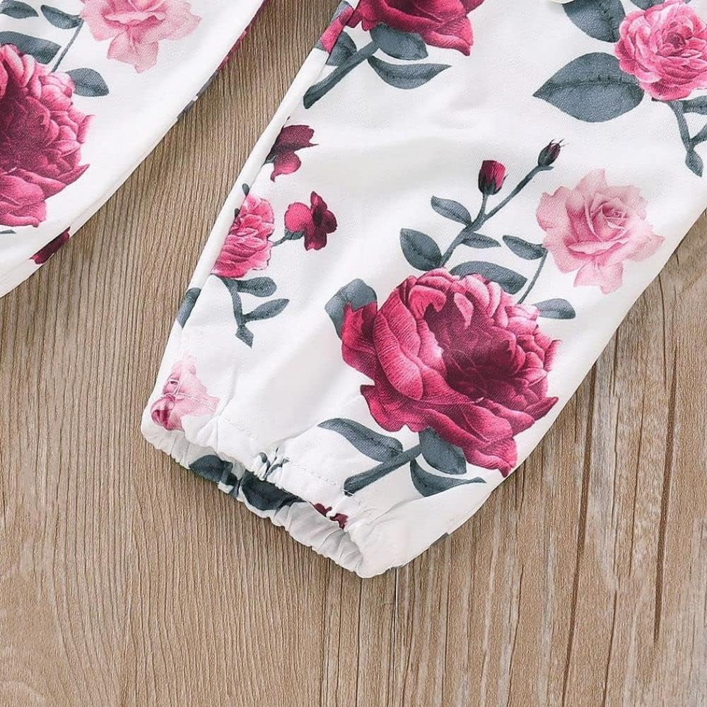 SUCS Newborn Baby Girl Clothes Infant Girl Outfits Long Sleeve Ruffle Romper  Floral Pants Headband Set