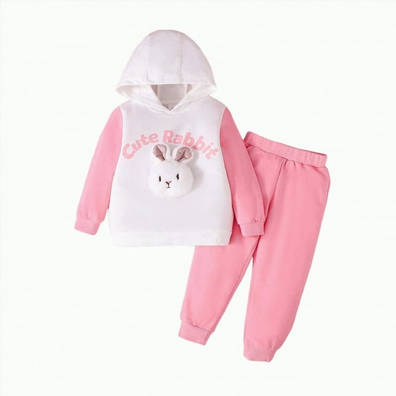 Ccpelsie Toddler Girls Clothes Girl Fall Outfits Long Sleeve Sweatshirt Pants Sets Winter Sweatsuit Clothing for Girl(Pink,3-4 Years)