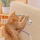 thumbnail image 4 of ¡Campaña con descuento!Juguete de cuerda con mordedor para gato, para placer personal, alivio del aburrimiento, limpieza de dientes, hierba gatera, fruta de agalla, suministros de palitos para gato, 4 of 5