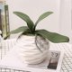 thumbnail image 3 of 1pc Artificial Plant Butterfly Orchid Leaf Diy Home Office Desktop Bonsai Decor, 3 of 5