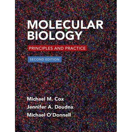 Molecular Biology Principles And Practice Walmart Com