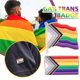 thumbnail image 5 of Ruifaya Insignia de orgullo de progreso Pin de solapa LGBTQIA LGBTQ+ Gay Trans Bi Nuevos derechos, 5 of 7