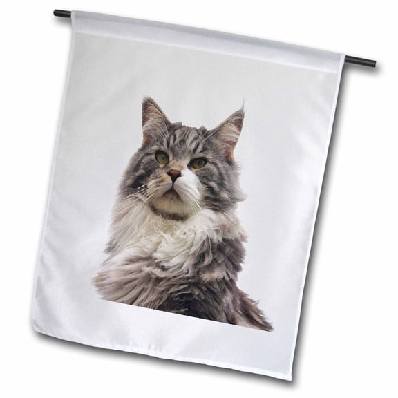 3dRose, Print of Maine Coon Cat Painting, 12 x 18 inch Garden Flag