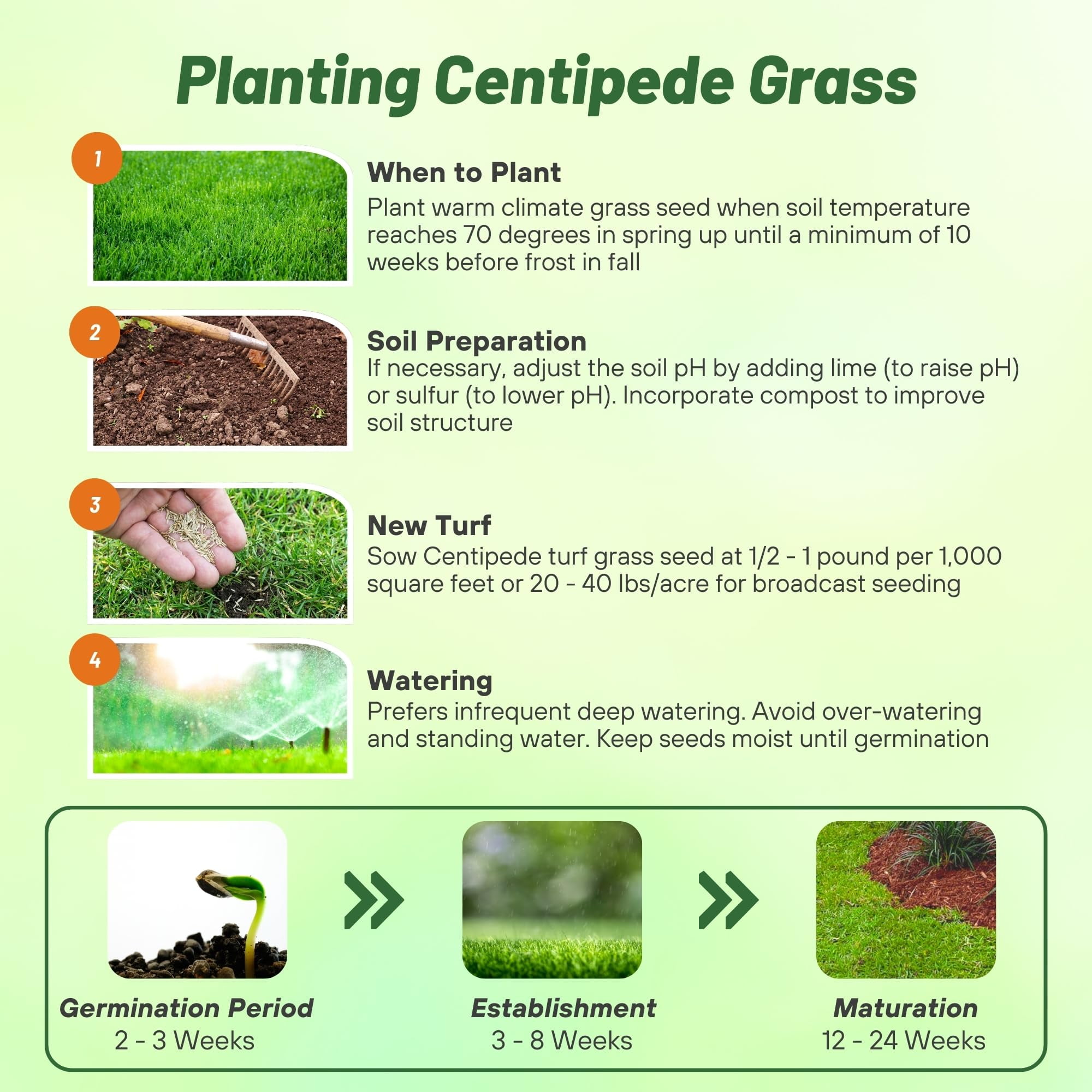 Centipede Grass Seed - Warm Climate Grass Seed - 1 LB - Coated