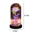thumbnail image 3 of Herrnalise Colorful Enchanted FlowerRose, LED Light String on The Colorful Flower,Lasts Forever in A Glass Dome,Rose Gifts for Women,Christmas,Wedding,Valentine's Day,Anniversary Birthday, 3 of 8
