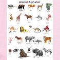 thumbnail image 2 of CafePress - Animal Pictures Alphabet Infant Bodysuit - Baby Light Bodysuit, Size Newborn - 24 Months, 2 of 4