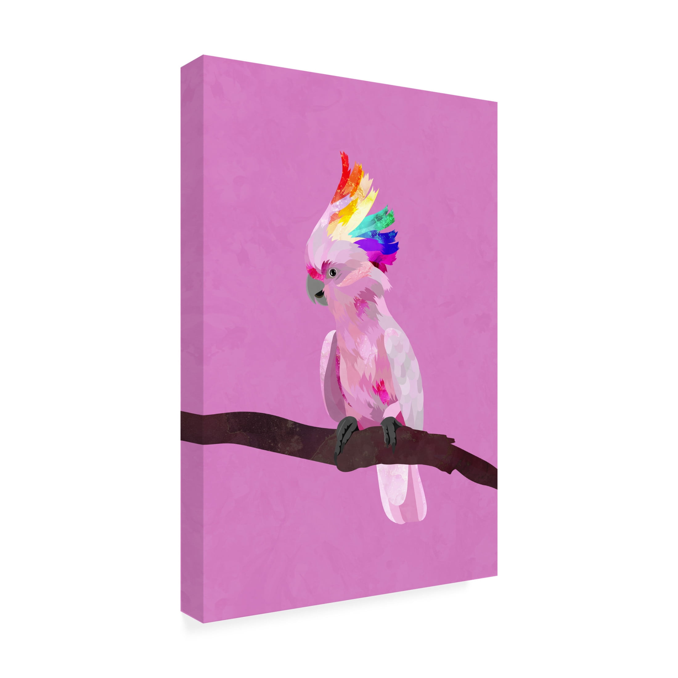 Trademark Fine Art Sarah Manovski Pride Galah Canvas Wall Art