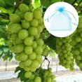 thumbnail image 1 of Bolsa de malla Bolsas de protección de plantas Control de plagas agrícolas Anti-Bird Insect Gard, 1 of 7