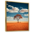 thumbnail image 2 of Designart "Australia Red Centre silence I" Floral Floater Framed Wall Decor, 2 of 7