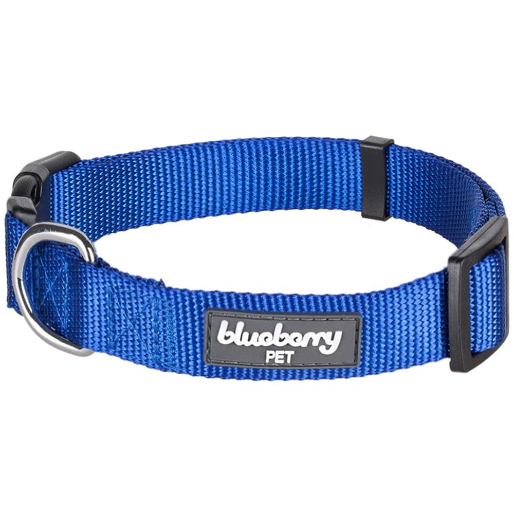 Blueberry Pet Classic Nylon Adjustable Dog Collar Made for Last, Royal Blue, Medium, Neck 14.5"-20"