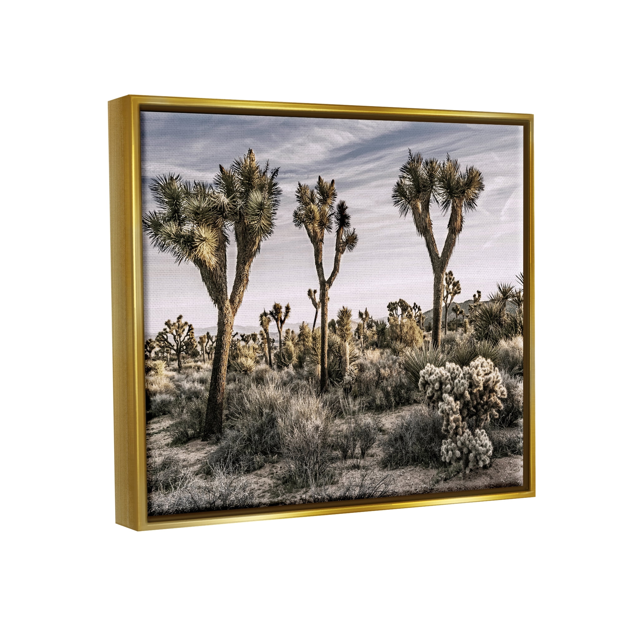 Stupell Industries Desert Cacti Vegetation Landscape Photography Gold Floater Framed Canvas Art Print Wall Art, 31 x 25