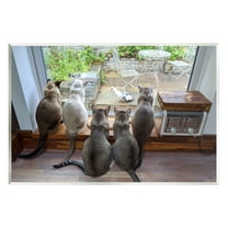 Stupell Industries Cats Watching Bird at Window Animals & Insects Photography Unframed Art Print Wall Art, 19 x 13