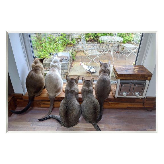 Stupell Industries Cats Watching Bird at Window Animals & Insects Photography Unframed Art Print Wall Art, 19 x 13
