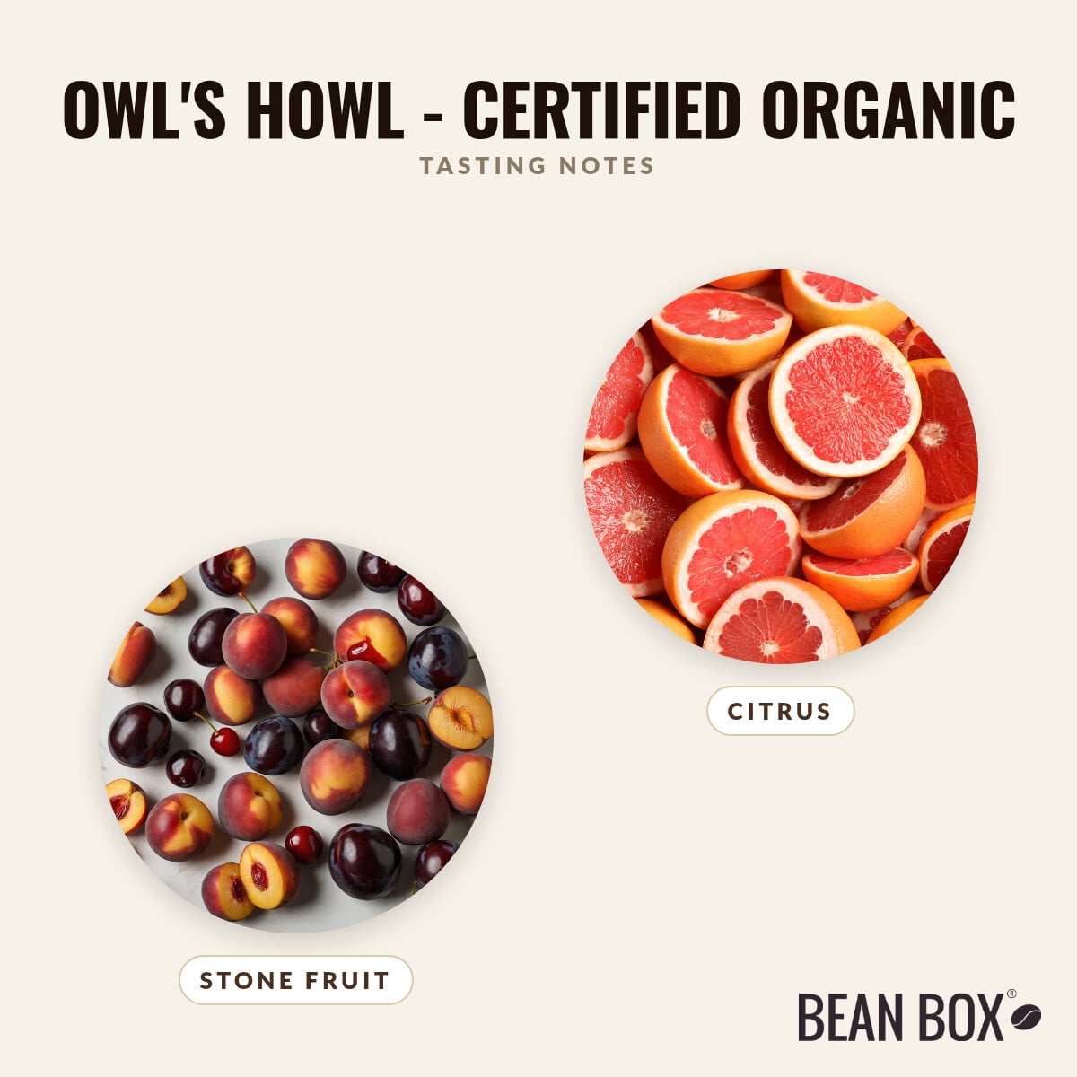 Owl's Howl - Certified Organic - Roasted by Sightglass Coffee - Whole Bean Coffee - 12oz Bag