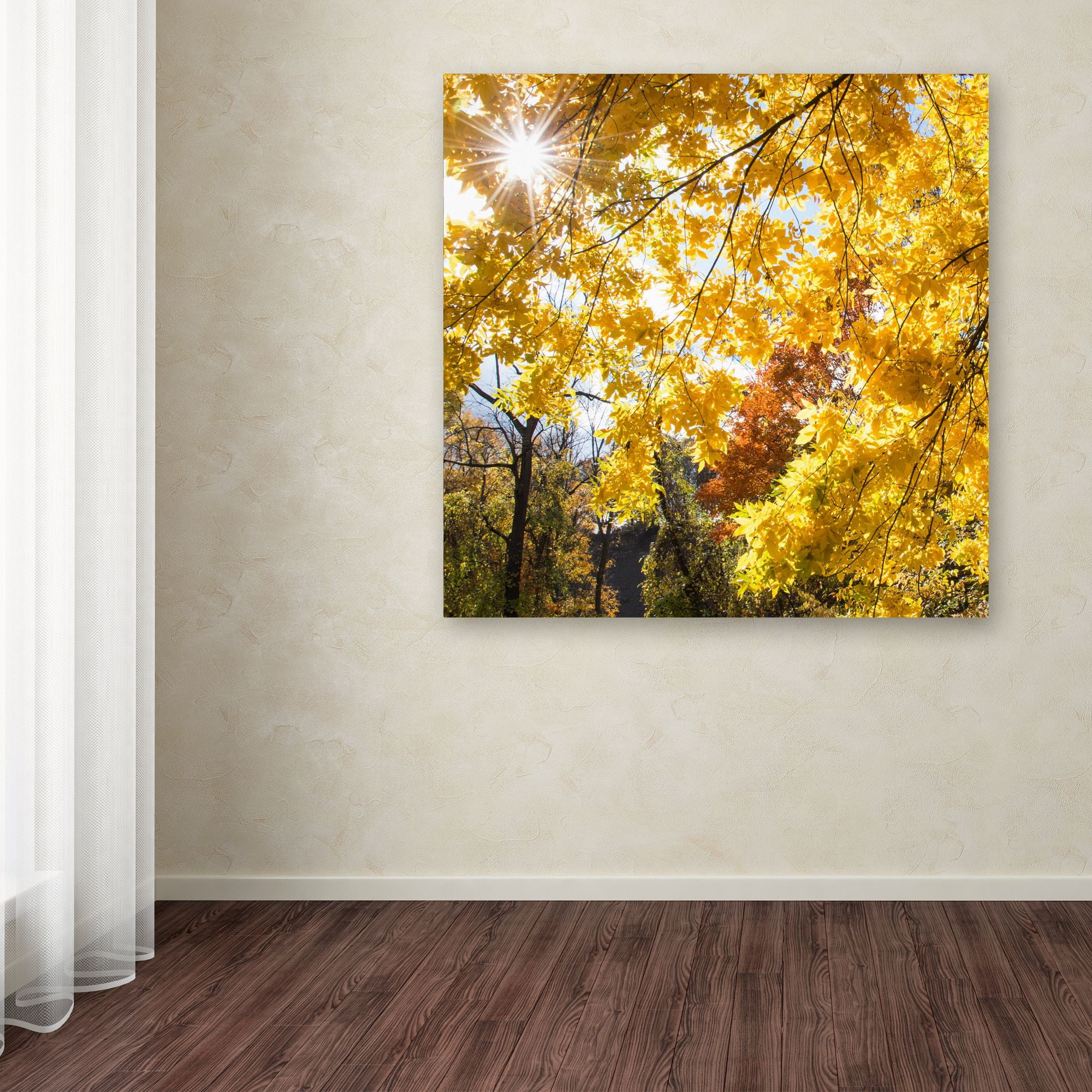 Trademark Fine Art "Sunny Happy Autumn Day" Canvas Art by Kurt Shaffer